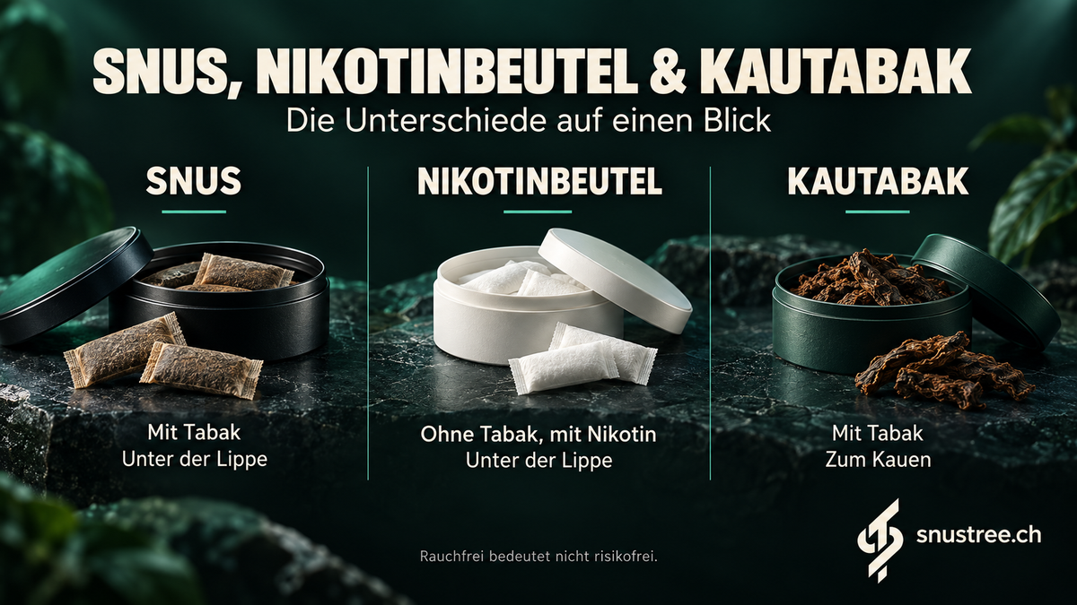 Snus, Nikotinbeutel & Kautabak – Die wichtigsten Unterschiede