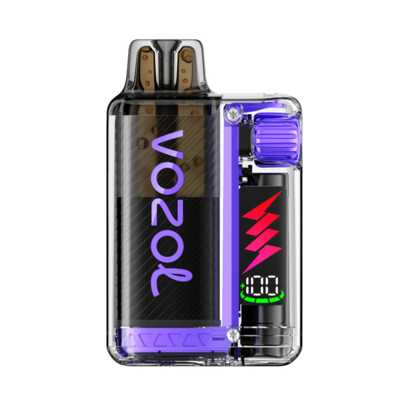 VOZOL Vista Plug Kit Blueberry Sour Raspberry