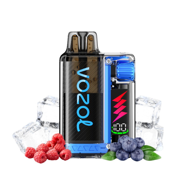 VOZOL Vista Plug Kit Blueberry Sour Raspberry