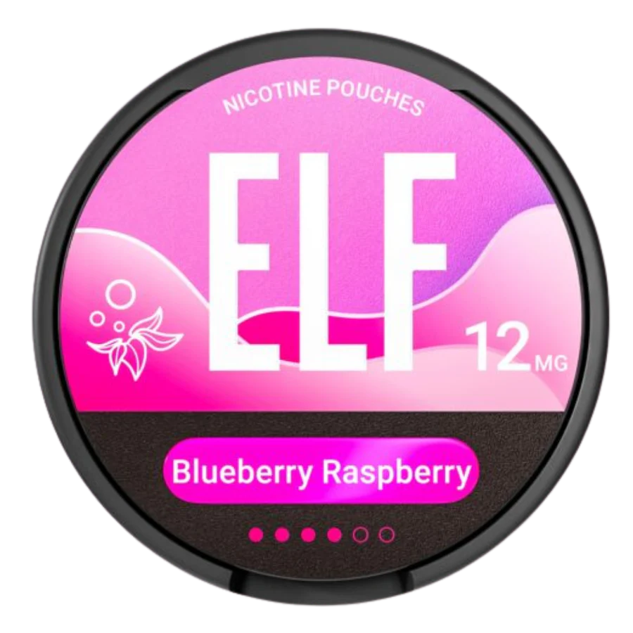 ELFBAR Snus Blueberry Raspberry