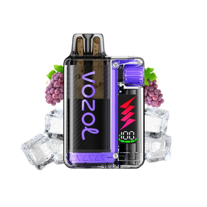 VOZOL Vista Plug 10000 Grape Ice